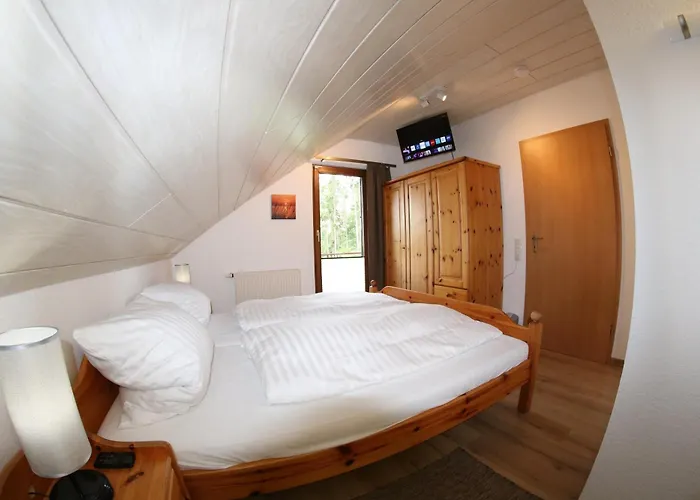 Da Vinci * Kirchheim